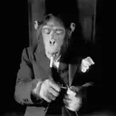 স্টিকার