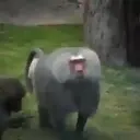 স্টিকার