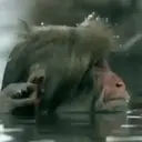 স্টিকার